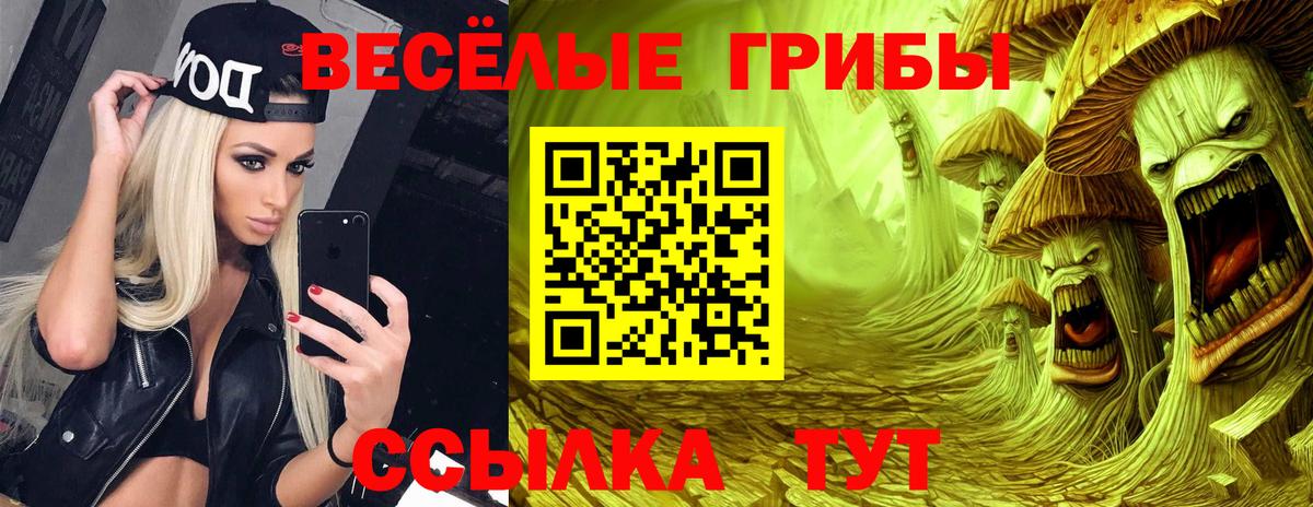 Псилоцибиновые грибы Cubensis Кропоткин